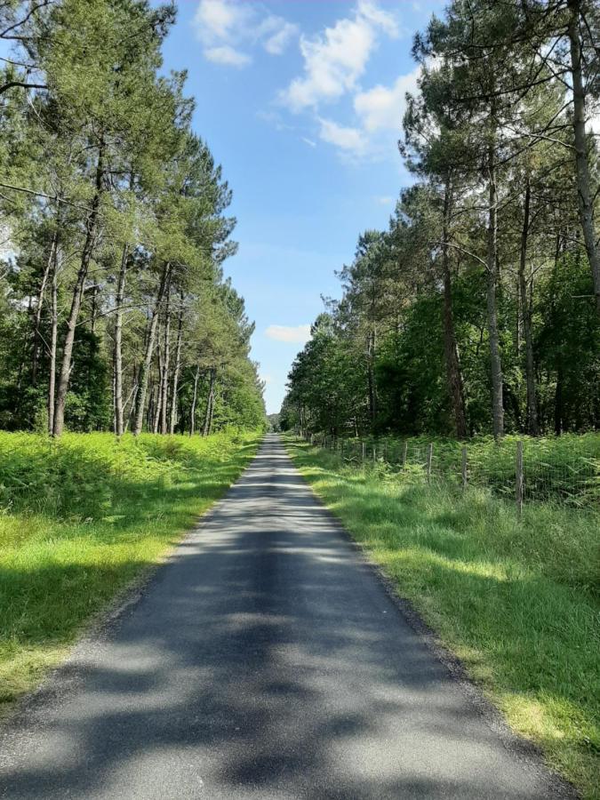 Вілла Gite Climatise L'Oree Des Landes Proche Center Parcs Pinderes Екстер'єр фото