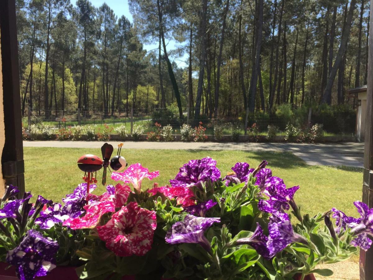 Вілла Gite Climatise L'Oree Des Landes Proche Center Parcs Pinderes Екстер'єр фото