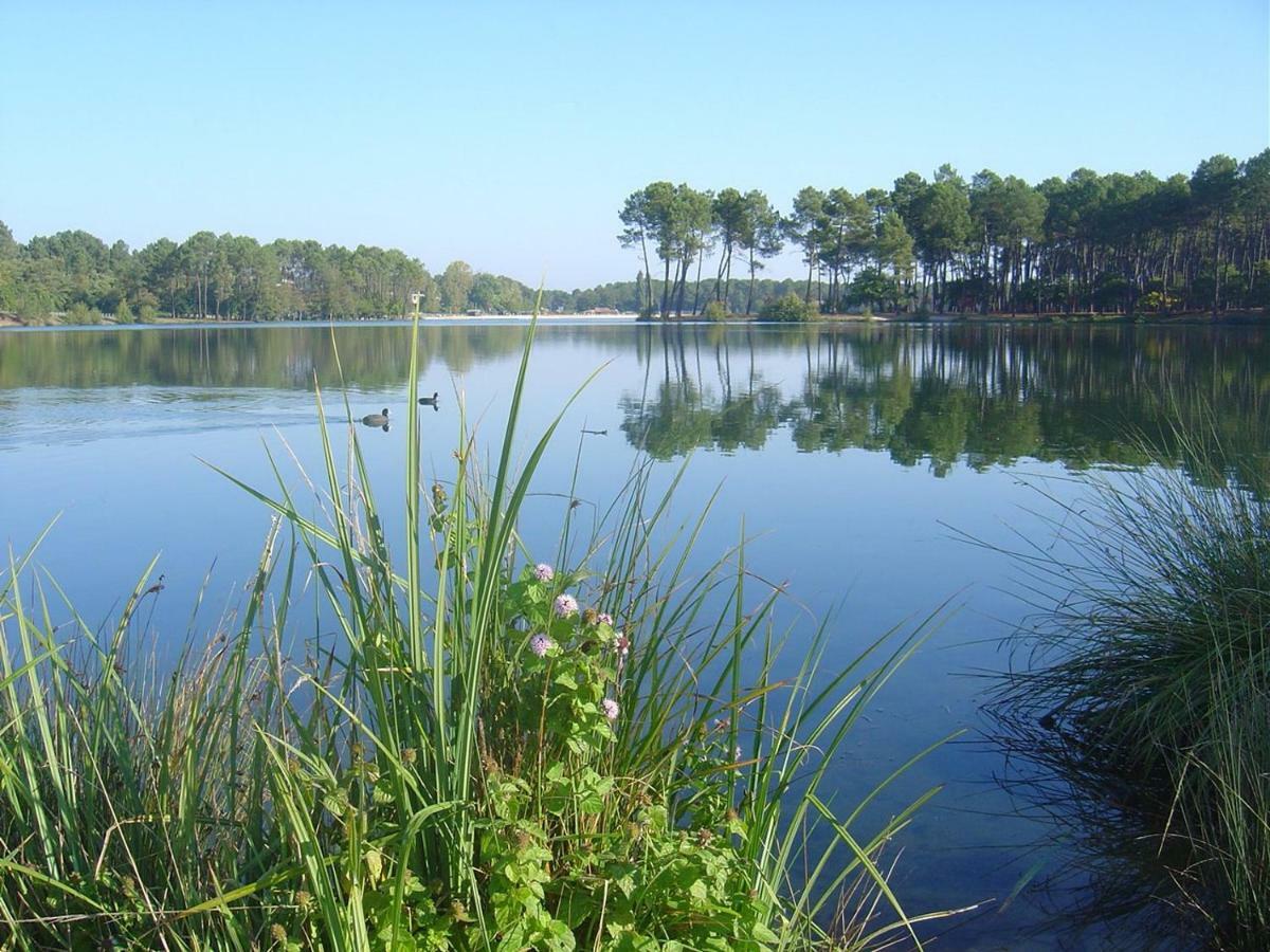 Вілла Gite Climatise L'Oree Des Landes Proche Center Parcs Pinderes Екстер'єр фото